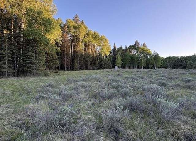 Property at 2150 Spruce Rd, Cimarron, CO 81220