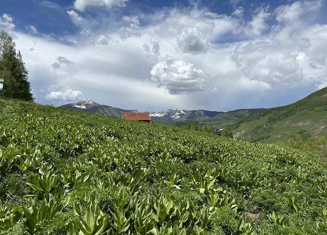 Property at 18 Cinnamon Mountain Rd, Mt. Crested Butte, CO 81225