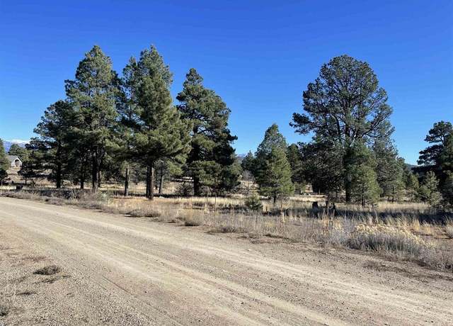 Property at 157 Mansions Cir, Pagosa Springs, CO 81147