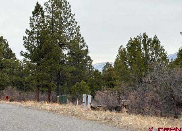 Property at 102 Big Canyon Pt, Ridgway, CO 81432