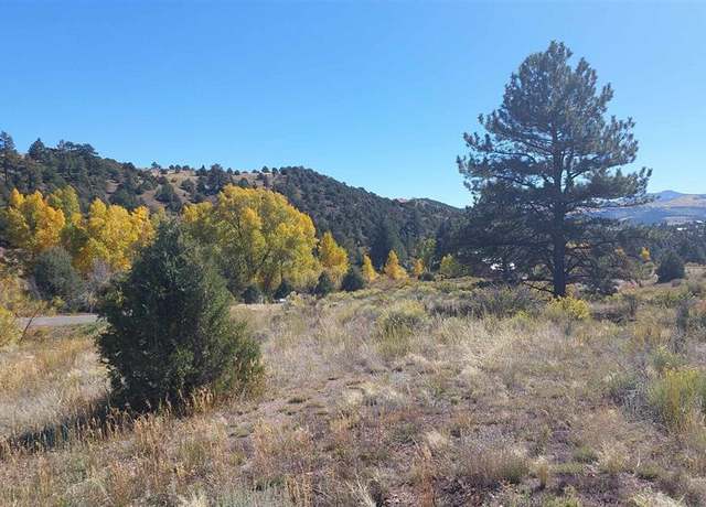 Property at 1685 Bear Creek Cir, South Fork, CO 81154