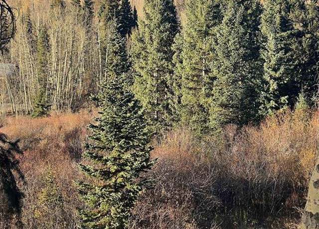 Property at 530 Elk Run, Telluride, CO 81435