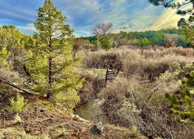 Property at 4665 S 9 8/10 Rd, Glade Park, CO 81523