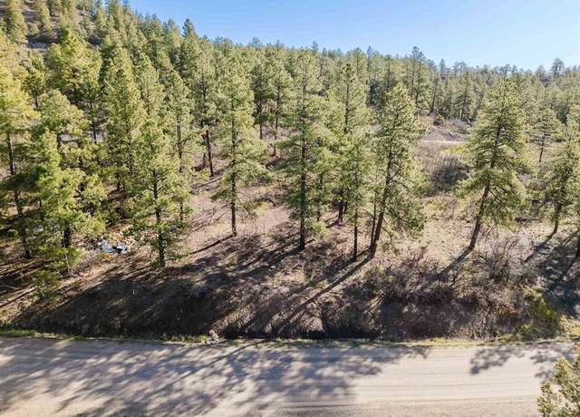 Property at 106 Granada Dr, Pagosa Springs, CO 81147