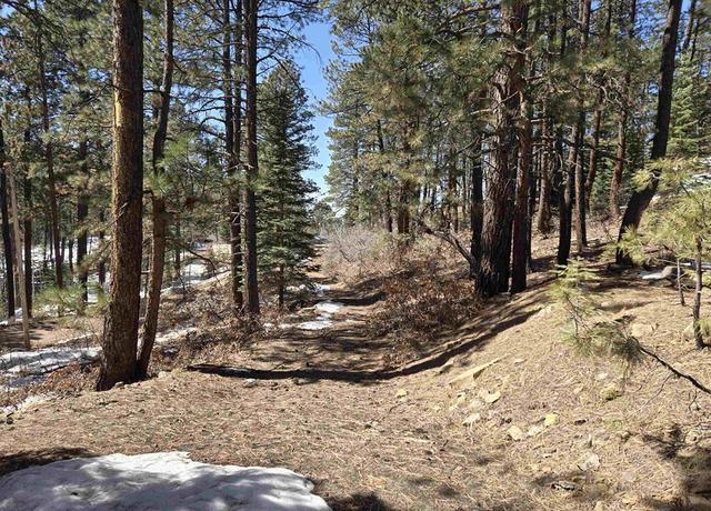 Property at Lot 9 Groves Dr, Durango, CO 81301