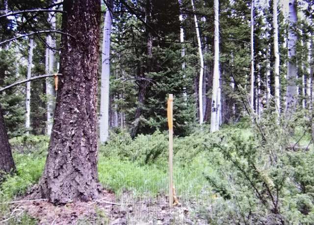 Property at 425 Crest Dr, Cimarron, CO 81220