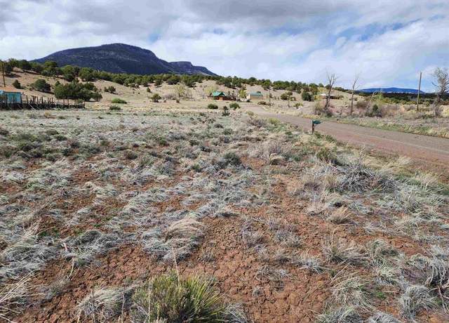 Property at 1333 Mohee Rd, South Fork, CO 81154