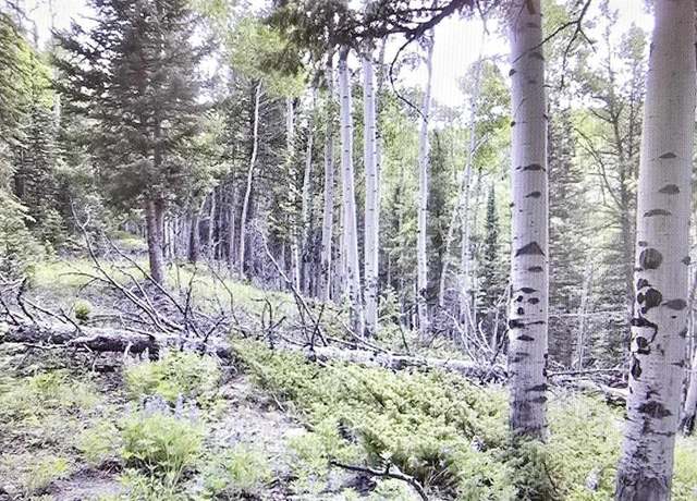 Property at 425 Rim Rd, Cimarron, CO 81220