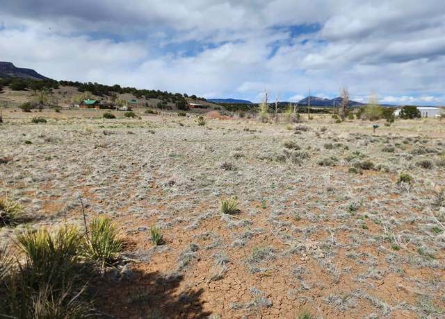 Property at 1289 Mohee Rd, South Fork, CO 81154