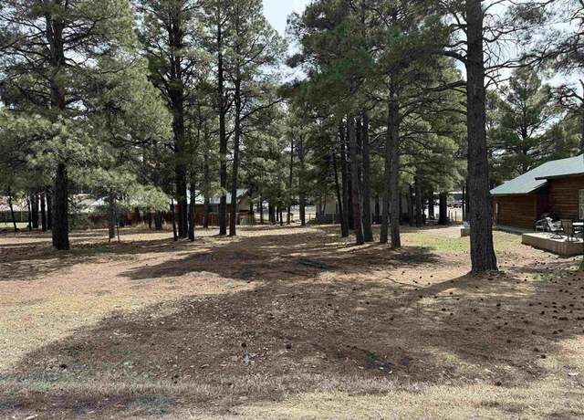 Property at 227 Oakwood Cir, Pagosa Springs, CO 81147