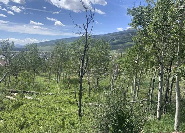 Property at 4217 Bryant Ave, Crested Butte, CO 81224