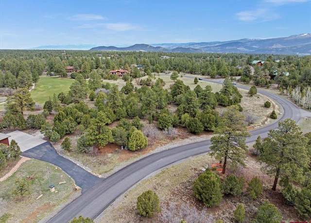 Property at 935 Marmot Dr, Ridgway, CO 81432