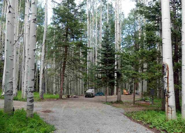 Property at 602 Columbine Dr, Cimarron, CO 81220
