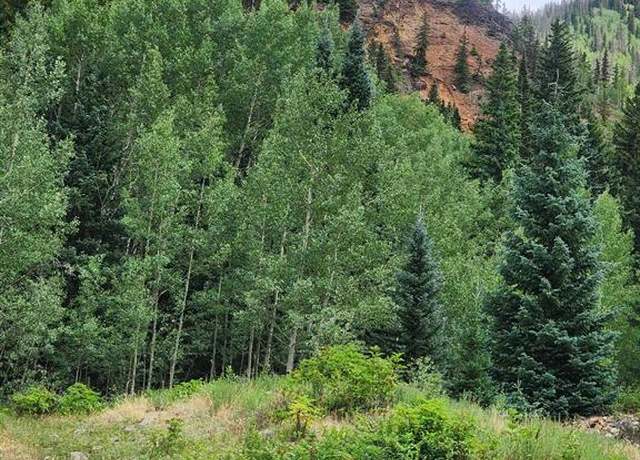 Property at TBD Cunningham Gulch, Silverton, CO 81433