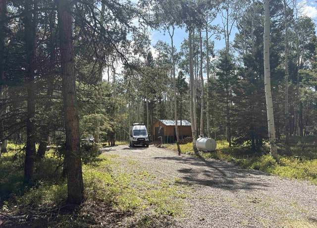 Property at 240 Crest Dr, Cimarron, CO 81220