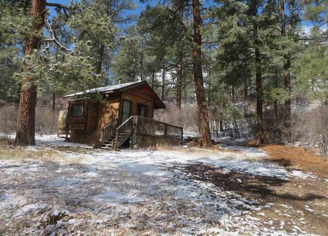 Property at 203 Evergreen, Pagosa Springs, CO 81147