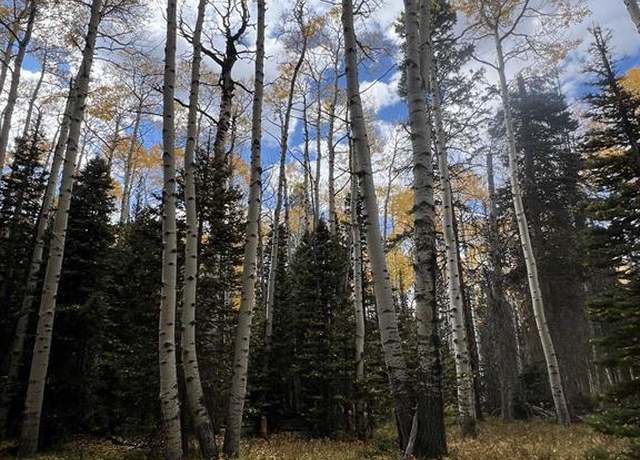 Property at 185 Aspen Trl, Cimarron, CO 81220