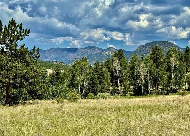 Property at 203 S Skyline Dr, South Fork, CO 81154