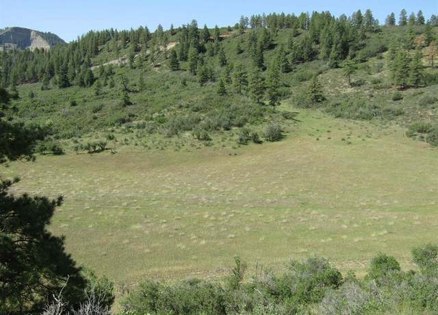 Property at 9144 W Us Hwy 160, Pagosa Springs, CO 81147