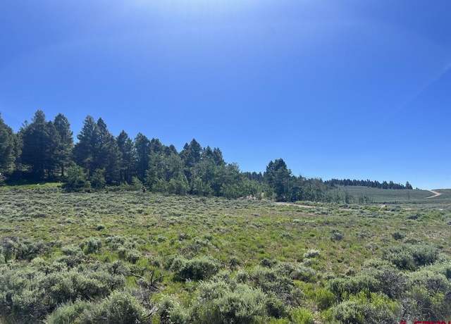 Property at 166 Blue Mesa Dr, Powderhorn, CO 81243