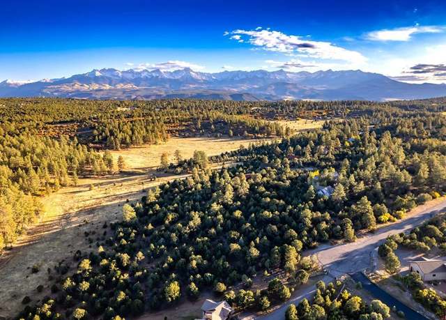 Property at 206 Woodchuck Pl, Ridgway, CO 81432