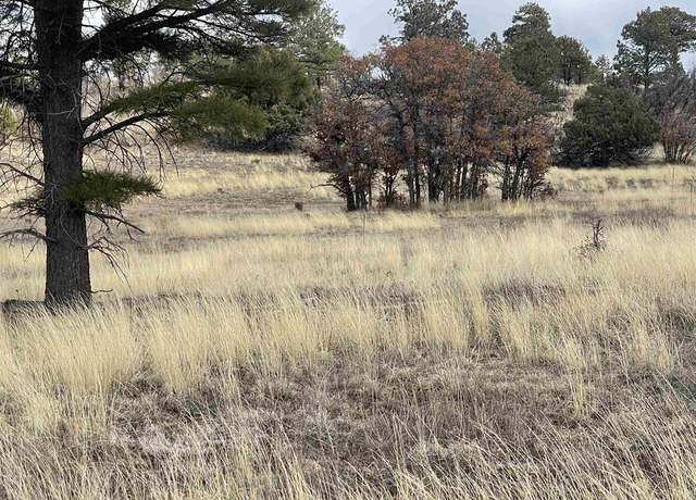 Property at 208 Pompa Dr, Pagosa Springs, CO 81147