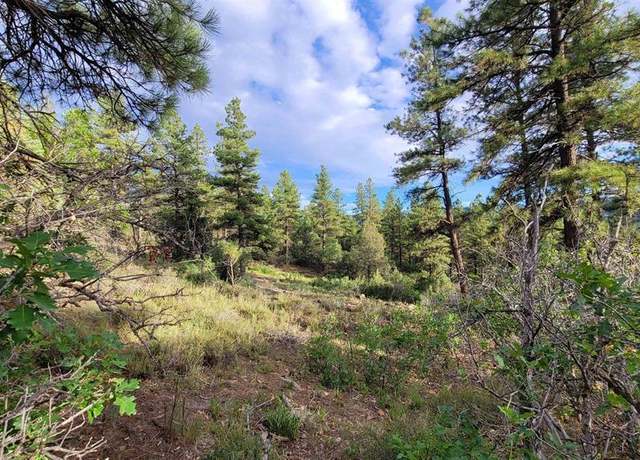 Property at 814 Ginger Cir, Pagosa Springs, CO 81147