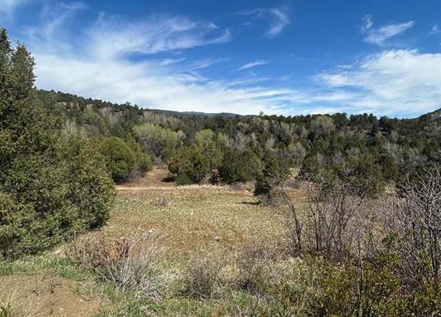 Property at 3119 Cr 234, Durango, CO 81301