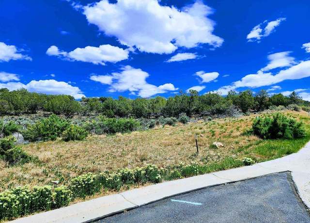 Property at 605 & 615 SE Pine St, Cedaredge, CO 81413