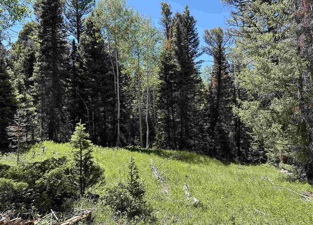 Property at 433 Juniper Dr, Cimarron, CO 81220