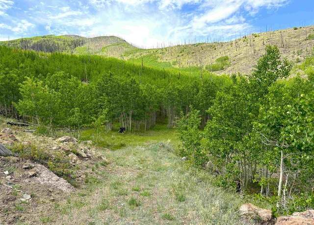 Property at 380 Bobcat Ct, South Fork, CO 81154