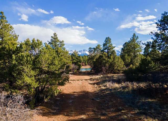 Property at Lot 555 N Badger Trl, Ridgway, CO 81432