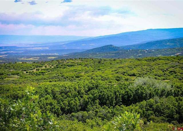 Property at TBD Hwy 65, Cedaredge, CO 81413