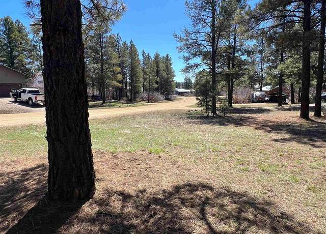 Property at 533 Dutton Dr, Pagosa Springs, CO 81147