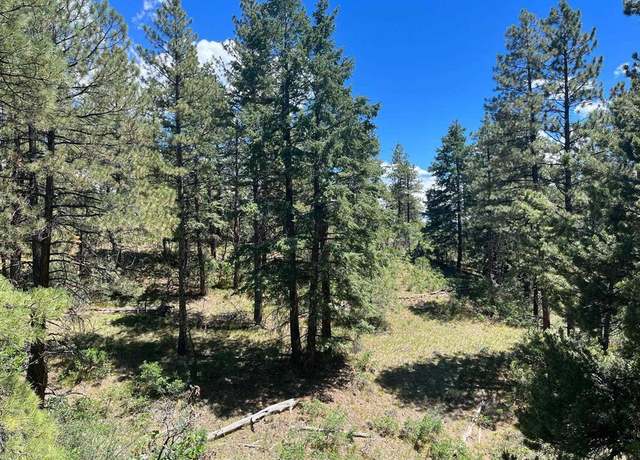 Property at 853 Ranchland Dr, Pagosa Springs, CO 81147