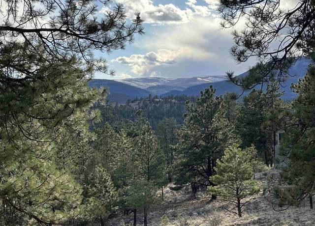 Property at 505 N Skyline Dr, South Fork, CO 81154
