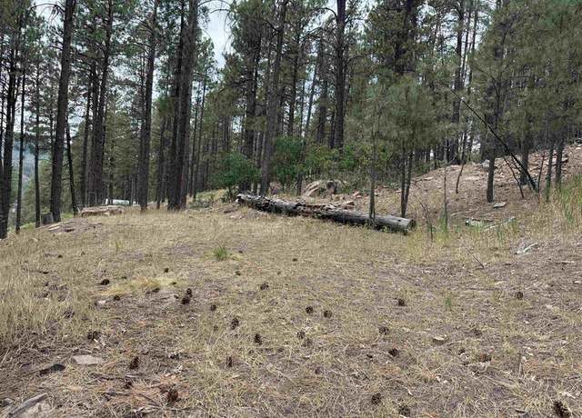 Property at 421 Forest Lakes Dr, Bayfield, CO 81122