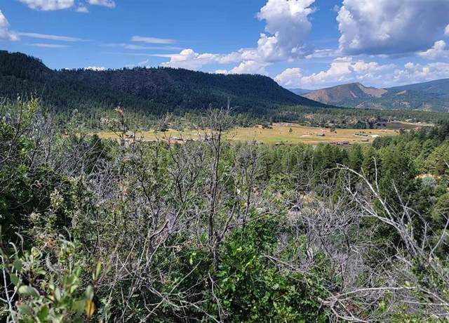 Property at 196/164 Jennifer's Pl, Pagosa Springs, CO 81147
