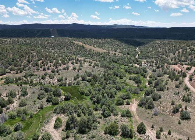 Property at TBD Cr 307, Durango, CO 81301