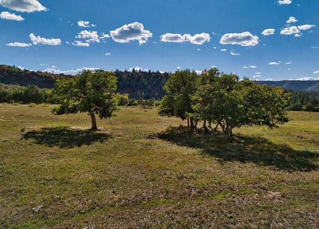 Property at 4107 Road 31 Cahone, Cahone, CO 81320