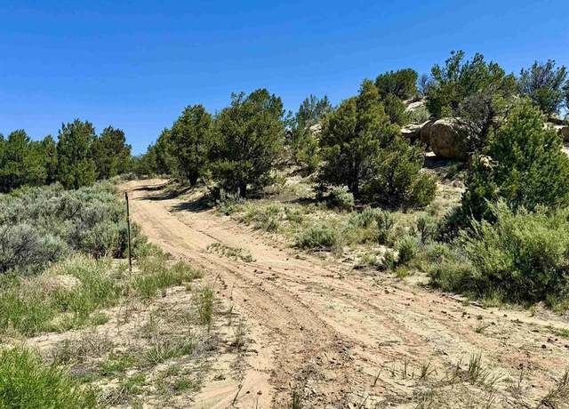 Property at 000 Cr 402 Rd, Lindrith, NM 87029