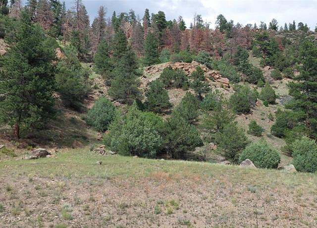 Property at TBD State Hwy 149, South Fork, CO 81154