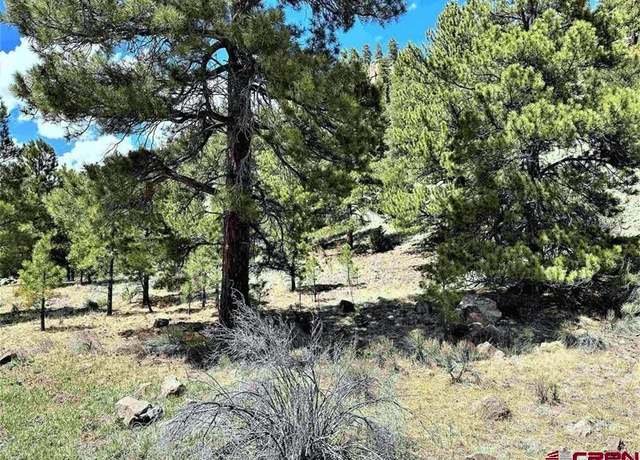Property at TBD State Hwy 149, South Fork, CO 81154