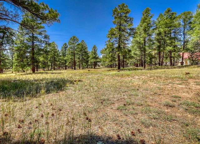 Property at 86 Hackamore Pl, Pagosa Springs, CO 81147