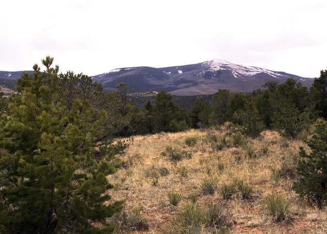 Property at 877 Vail Pass Rd, South Fork, CO 81154