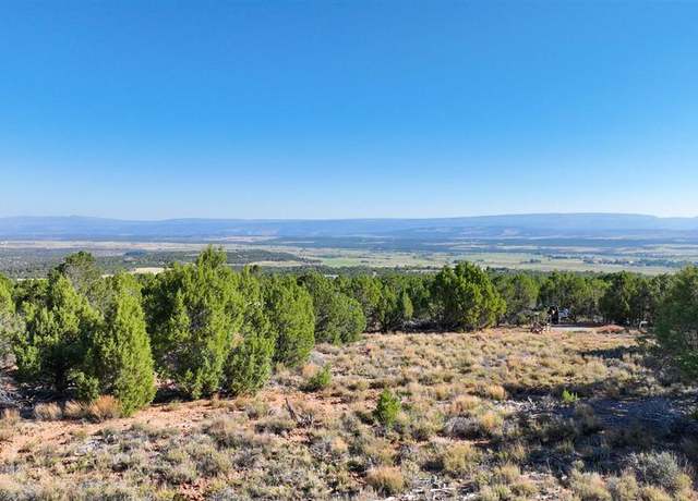 Property at 246 La Mesa Vista Dr, Norwood, CO 81423