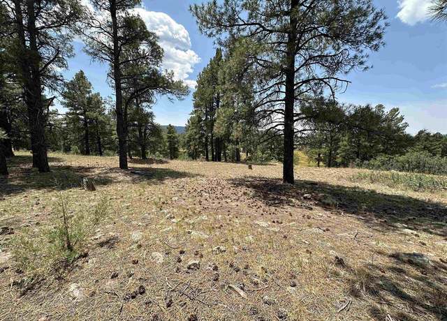 Property at 96 Woodridge Cir, Pagosa Springs, CO 81147