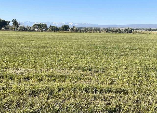 Property at TBD 5725 Rd, Olathe, CO 81425