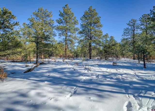Property at TBD Rancho Escondido Lot 15, Weston, CO 81082