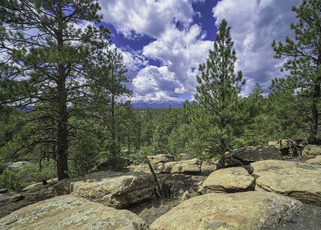 Property at TBD Rancho Escondido Lot 15, Weston, CO 81082